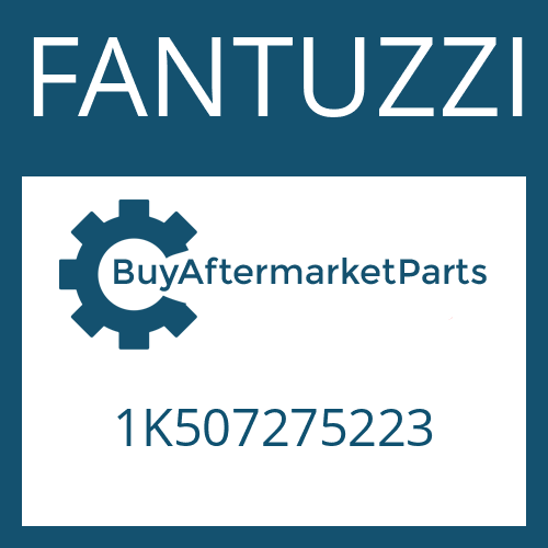FANTUZZI 1K507275223 - FRICTION PLATE