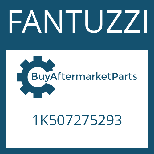 FANTUZZI 1K507275293 - FRICTION PLATE