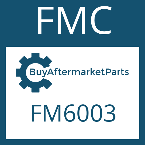 FMC FM6003 - FRICTION PLATE