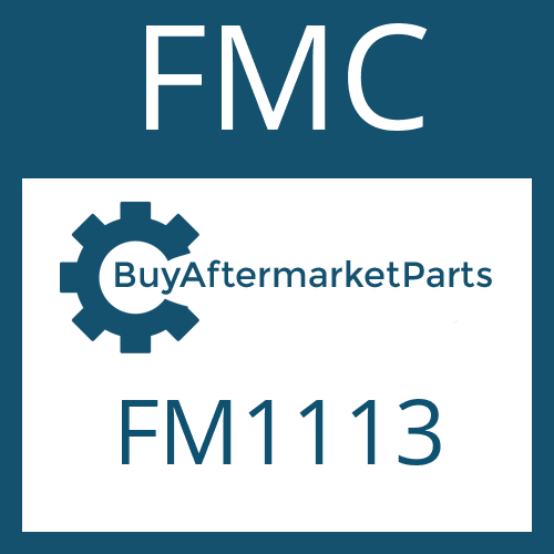 FMC FM1113 - FRICTION PLATE