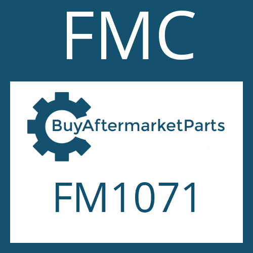 FMC FM1071 - FRICTION PLATE