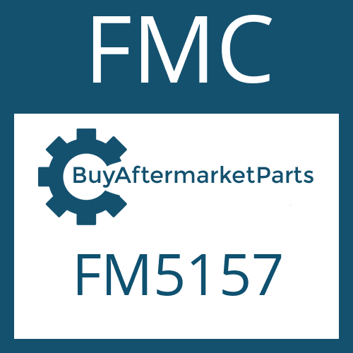 FMC FM5157 - FRICTION PLATE