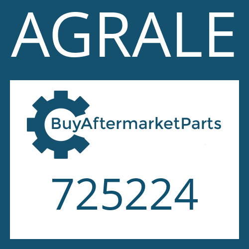 AGRALE 725224 - FRICTION PLATE