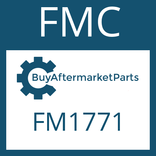 FMC FM1771 - FRICTION PLATE
