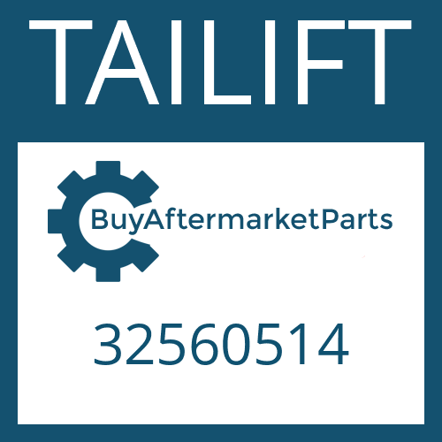 TAILIFT 32560514 - FRICTION PLATE