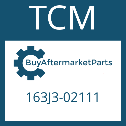 TCM 163J3-02111 - FRICTION PLATE