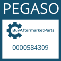PEGASO 0000584309 - RETAINING RING