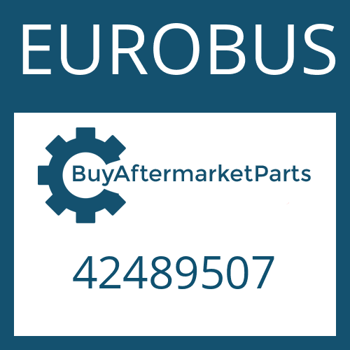 EUROBUS 42489507 - O-RING