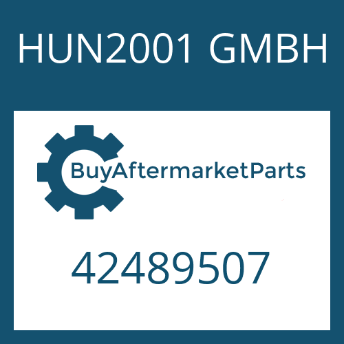 HUN2001 GMBH 42489507 - O-RING
