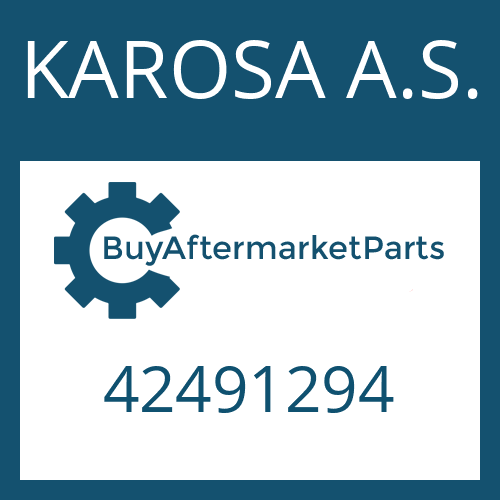 KAROSA A.S. 42491294 - WASHER