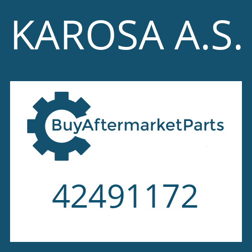 KAROSA A.S. 42491172 - NEEDLE CAGE