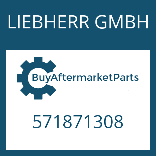 LIEBHERR GMBH 571871308 - GASKET