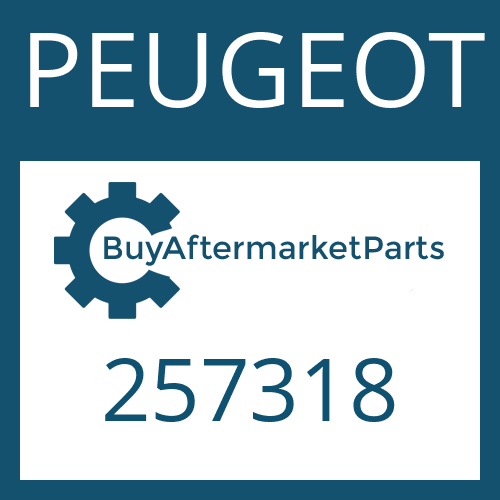 PEUGEOT 257318 - VALVE ORIFICE