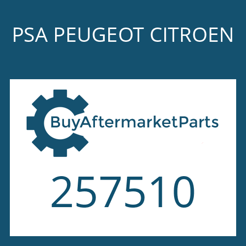 PSA PEUGEOT CITROEN 257510 - SHAFT SEAL