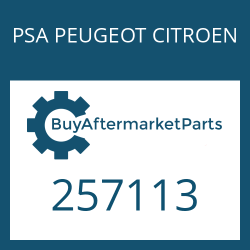 PSA PEUGEOT CITROEN 257113 - SELECTOR SHAFT