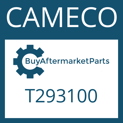 CAMECO T293100 - RING