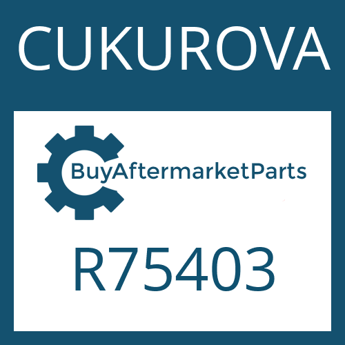 CUKUROVA R75403 - WASHER