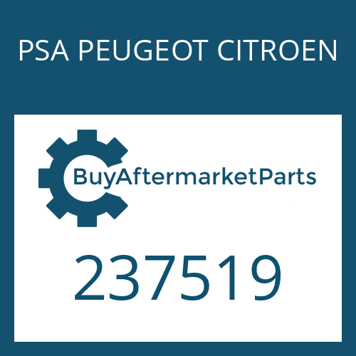 PSA PEUGEOT CITROEN 237519 - SHIM PLATE