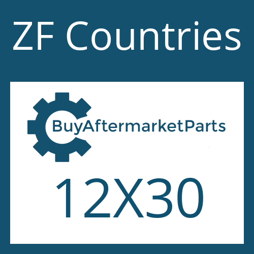 ZF Countries 12X30 - LOCKING SCREW