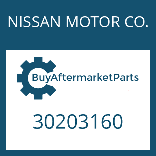 NISSAN MOTOR CO. 30203160 - 2-WEGEVENTIL