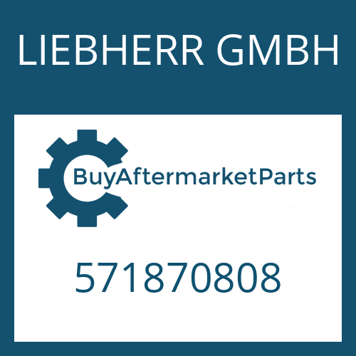 LIEBHERR GMBH 571870808 - REPAIR KIT