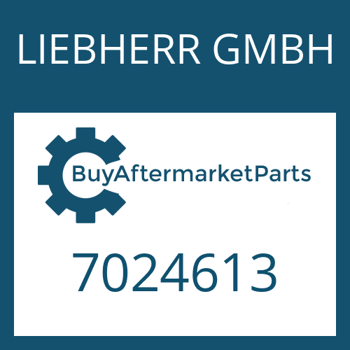 LIEBHERR GMBH 7024613 - CENTRAL PIECE