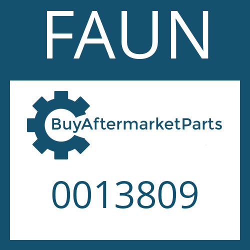 FAUN 0013809 - SLOT. PIN