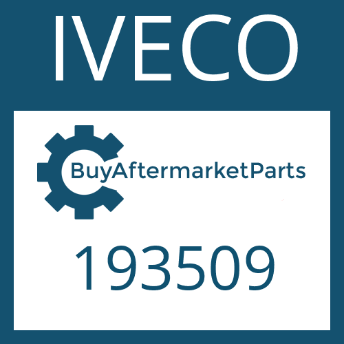 IVECO 193509 - O-RING for Heavy Equipment