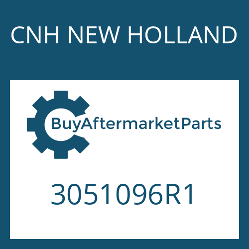 CNH NEW HOLLAND 3051096R1 - O-RING