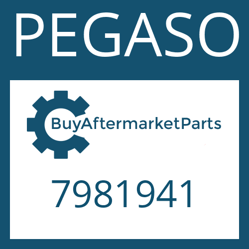 PEGASO 7981941 - O-RING