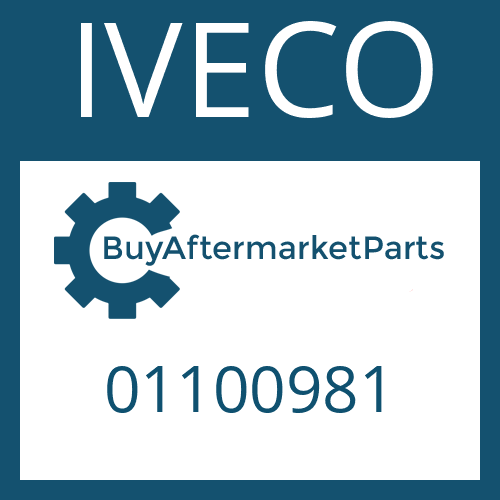 IVECO 01100981 - O-RING