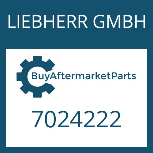 LIEBHERR GMBH 7024222 - WASHER