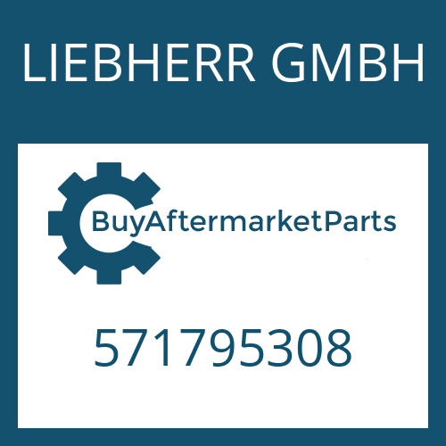 LIEBHERR GMBH 571795308 - SHIM
