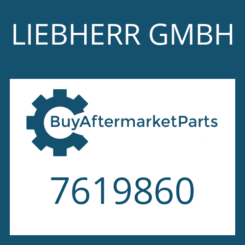 LIEBHERR GMBH 7619860 - WASHER