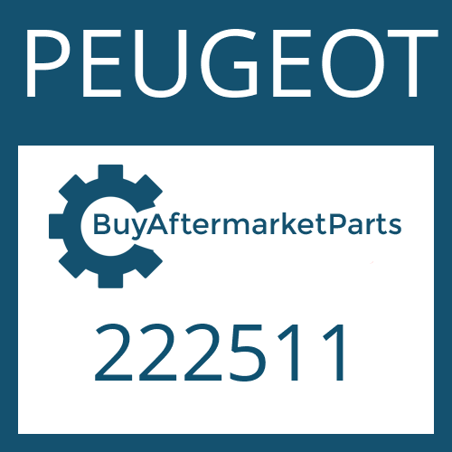 PEUGEOT 222511 - WASHER