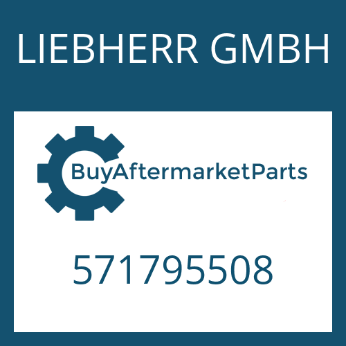 LIEBHERR GMBH 571795508 - SHIM
