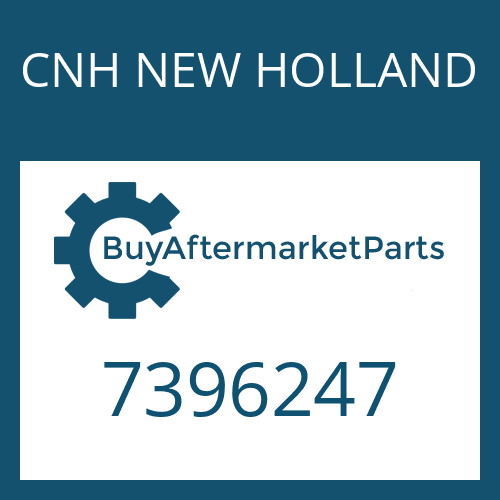 CNH NEW HOLLAND 7396247 - RING