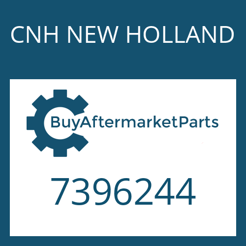 CNH NEW HOLLAND 7396244 - RING