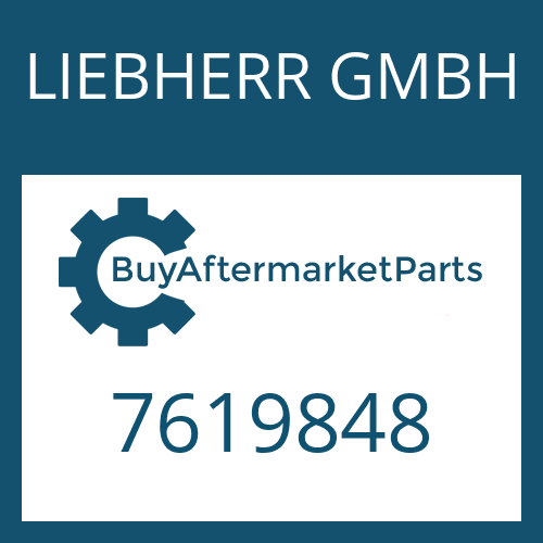 LIEBHERR GMBH 7619848 - PISTON GUIDE
