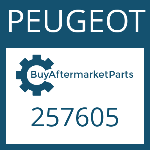 PEUGEOT 257605 - GUIDE SHEET