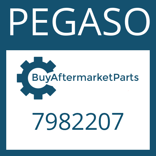 PEGASO 7982207 - WASHER