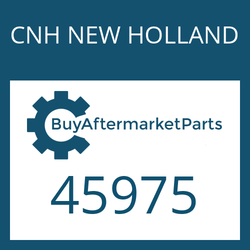 CNH NEW HOLLAND 45975 - DUST CAP