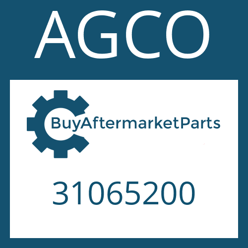 AGCO 31065200 - CYLINDER for Heavy Equipment