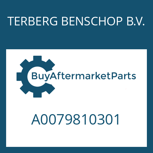 TERBERG BENSCHOP B.V. A0079810301 - CYLINDER ROLLER BEARING
