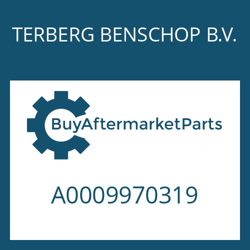 TERBERG BENSCHOP B.V. A0009970319 - SET SCREW