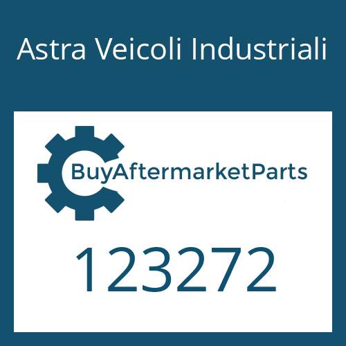 Astra Veicoli Industriali 123272 - SNAP RING