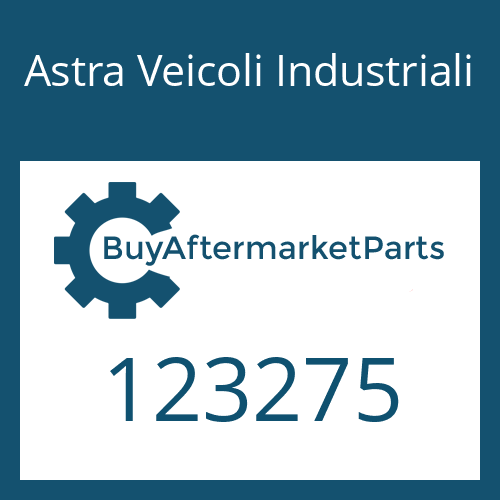 Astra Veicoli Industriali 123275 - SNAP RING