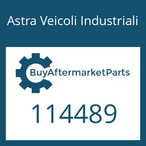 Astra Veicoli Industriali 114489 - MAIN SHAFT