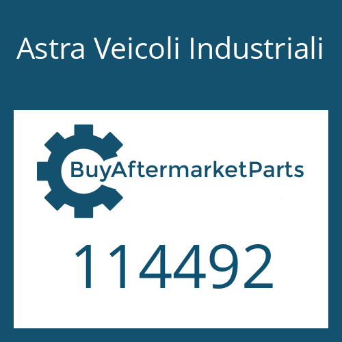 Astra Veicoli Industriali 114492 - CLUTCH BODY