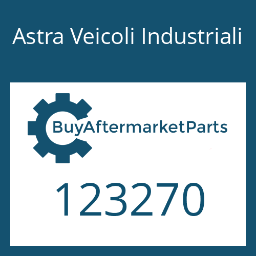 Astra Veicoli Industriali 123270 - GASKET